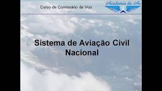Resumão Sistema de Aviação Civil Nacional