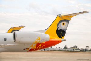 Fastjet Zimbábue Comemora uma Década de Sucesso e Inovação