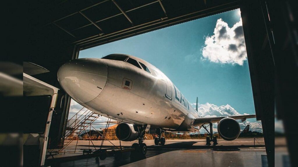 Brasil contabiliza mais de 5 mil incidências de colisões entre aves e aeronaves em três anos