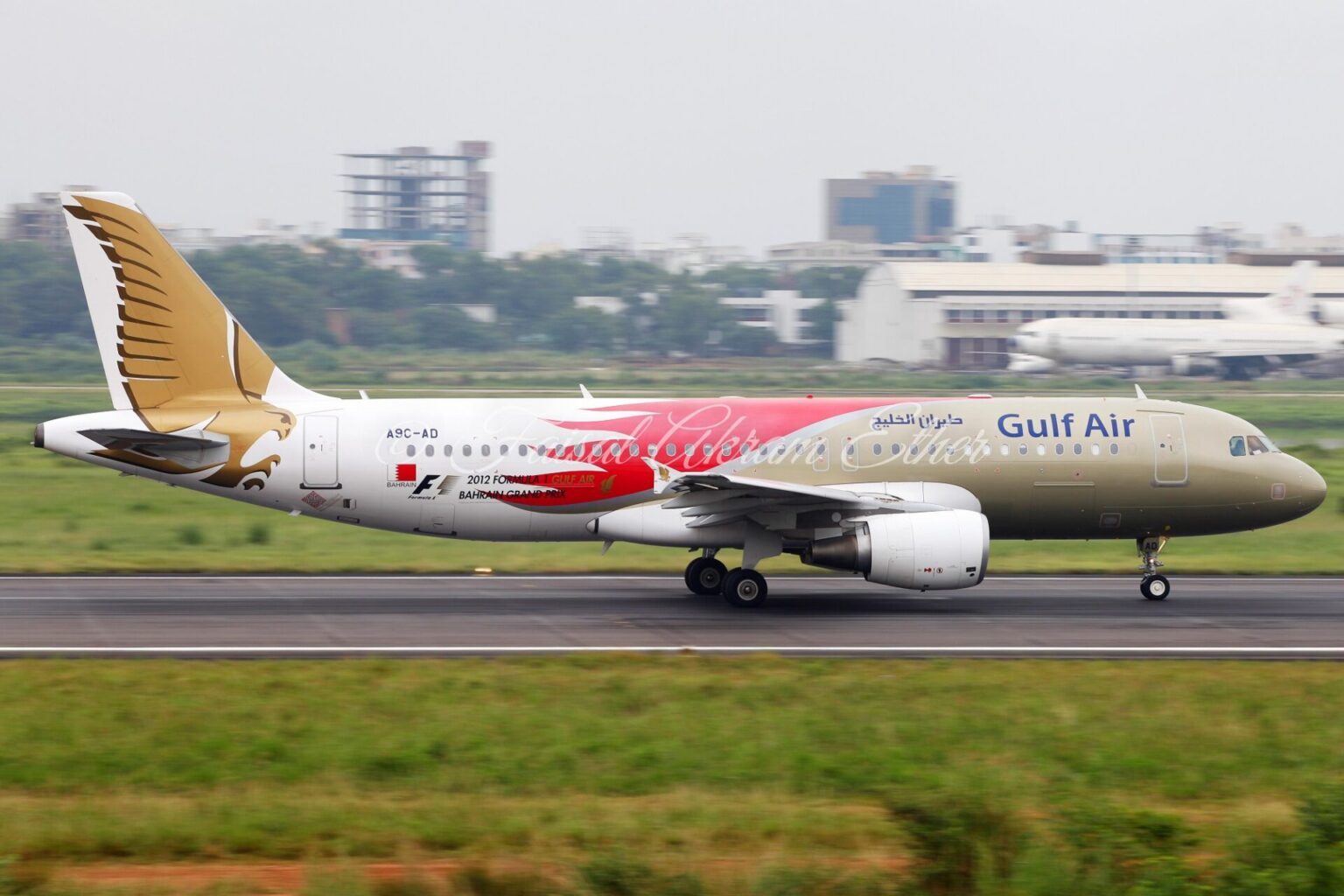 Gulf Air Adota Conectividade Starlink em Toda a Sua Frota