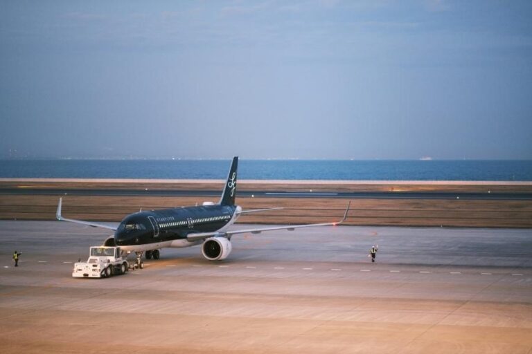 Aviação Alcança Novos Recordes, Mas Escassez de Aeronaves e Profissionais Ameaça Expansão